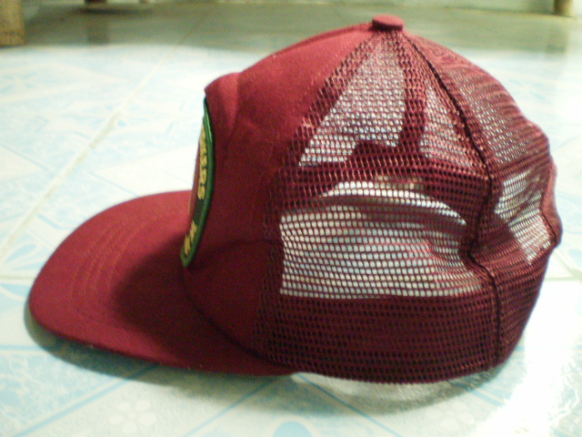 Name:  P1010014.JPG
Views: 3135
Size:  148.4 KB