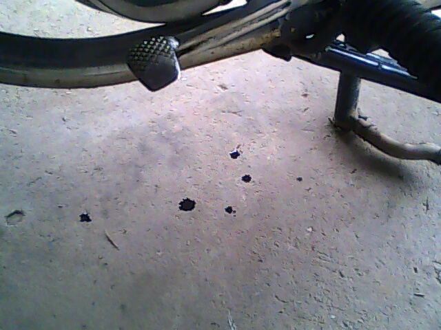 Name:  07-24-11-150022.jpg
Views: 113
Size:  122.3 KB