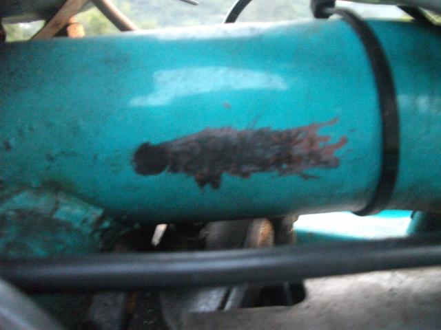 Name:  DSCF4583.jpg
Views: 3617
Size:  34.0 KB