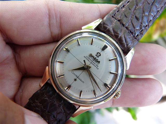 Name:  P1150267 (Small).JPG
Views: 2630
Size:  54.7 KB