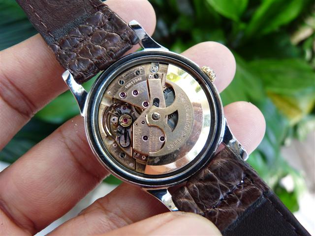 Name:  P1150293 (Small).JPG
Views: 2614
Size:  62.7 KB