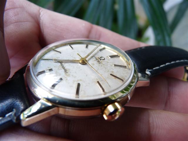 Name:  P1160315 (Small).JPG
Views: 2648
Size:  40.5 KB