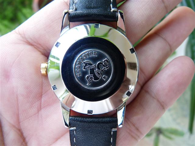 Name:  P1160327 (Small).JPG
Views: 2637
Size:  52.3 KB