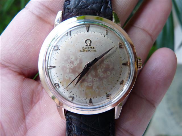 Name:  P1160343 (Small).JPG
Views: 3153
Size:  49.8 KB