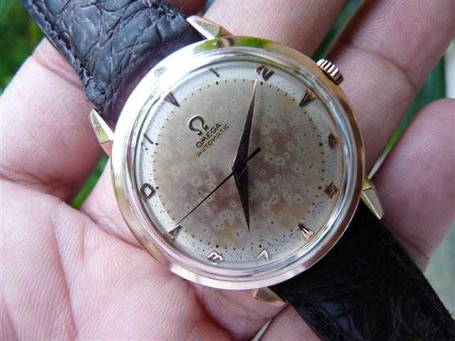 Name:  P1160344 (Small).JPG
Views: 2599
Size:  52.9 KB