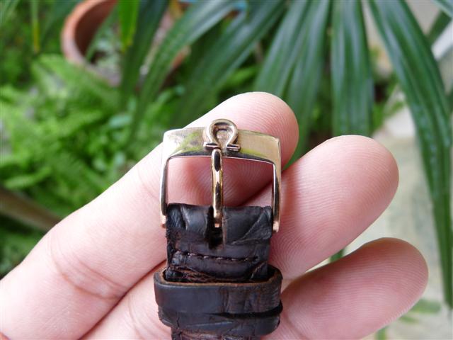 Name:  P1160369 (Small).JPG
Views: 2659
Size:  44.2 KB