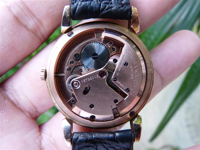 Name:  P1160335 (Small).JPG
Views: 2588
Size:  56.9 KB