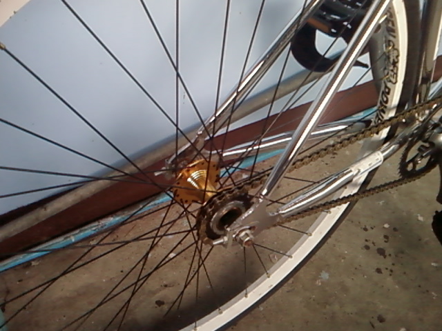 Name:  18062011(027).jpg
Views: 1506
Size:  105.2 KB