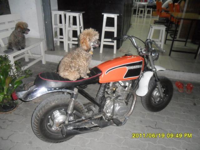 Name:  267681_207792965933419_100001081527506_609057_4973245_n.jpg
Views: 662
Size:  46.0 KB
