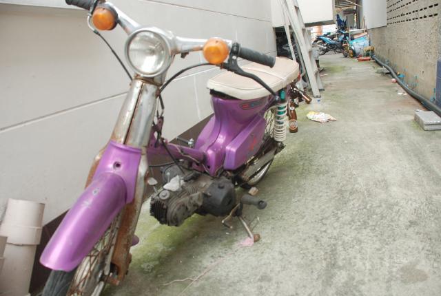 Name:  DSC_0271.jpg
Views: 543
Size:  41.1 KB
