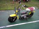 Name:  263208_219994488047096_100001096391222_634654_4907073_s[1].jpg
Views: 221
Size:  7.4 KB