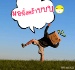 Name:  T160311_02C_r.gif
Views: 272
Size:  13.7 KB