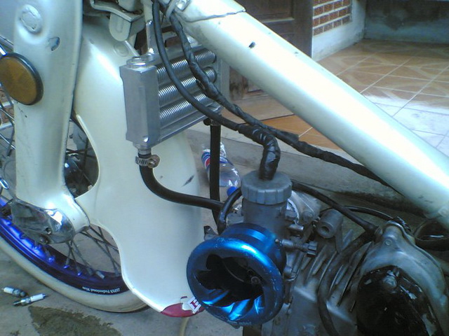 Name:  284608_212996555419640_100001278923676_626464_4715260_n.jpg
Views: 225
Size:  111.9 KB