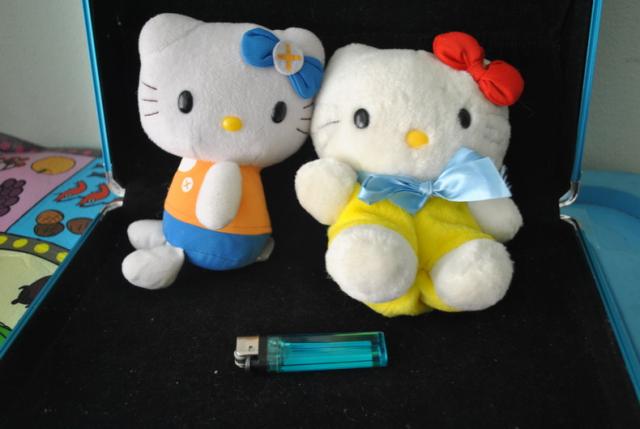 Name:  DSC_0092_resize.jpg
Views: 358
Size:  28.1 KB