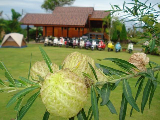 Name:  26.jpg
Views: 408
Size:  49.2 KB