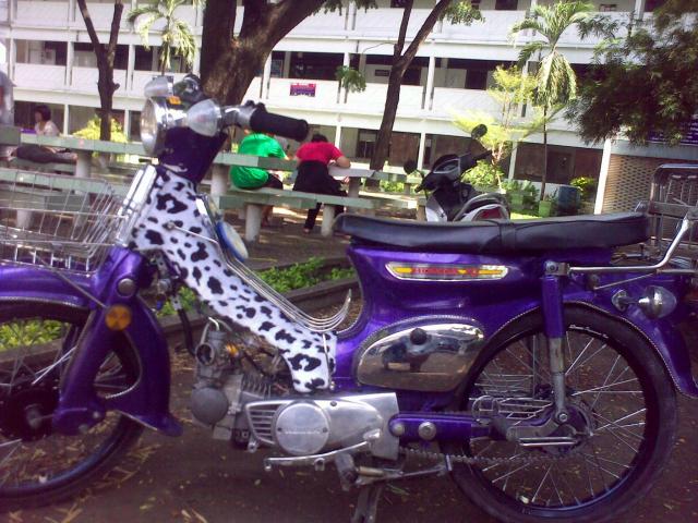 Name:  09012008237.jpg
Views: 2154
Size:  67.2 KB