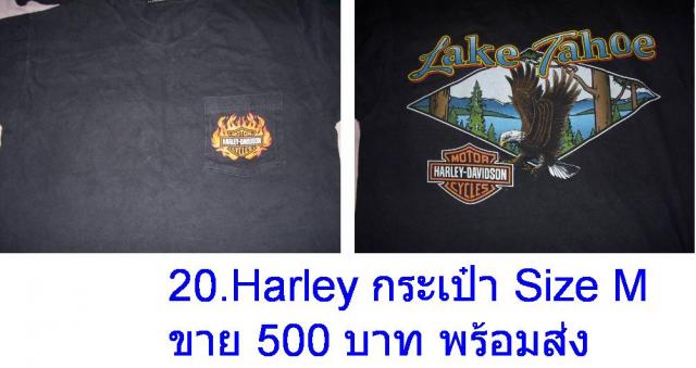 Name:  20 harley.jpg
Views: 157
Size:  33.2 KB