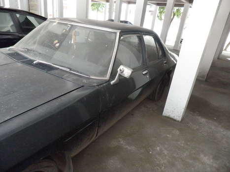 Name:  P8130093_resize.JPG
Views: 1640
Size:  67.0 KB