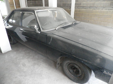 Name:  P8130094_resize.JPG
Views: 1639
Size:  68.5 KB