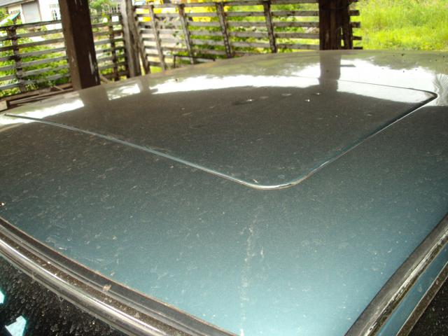 Name:  DSC02908.jpg
Views: 418
Size:  48.4 KB