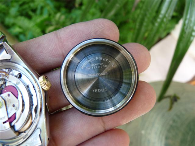 Name:  P1170463 (Small).JPG
Views: 2137
Size:  52.8 KB