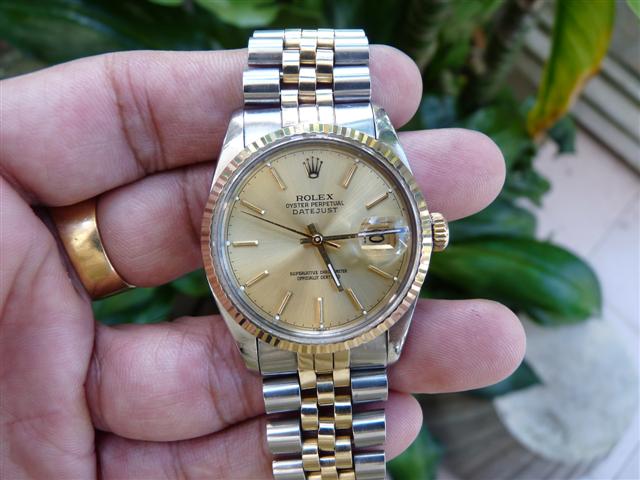 Name:  P1170596 (Small).JPG
Views: 2112
Size:  52.2 KB