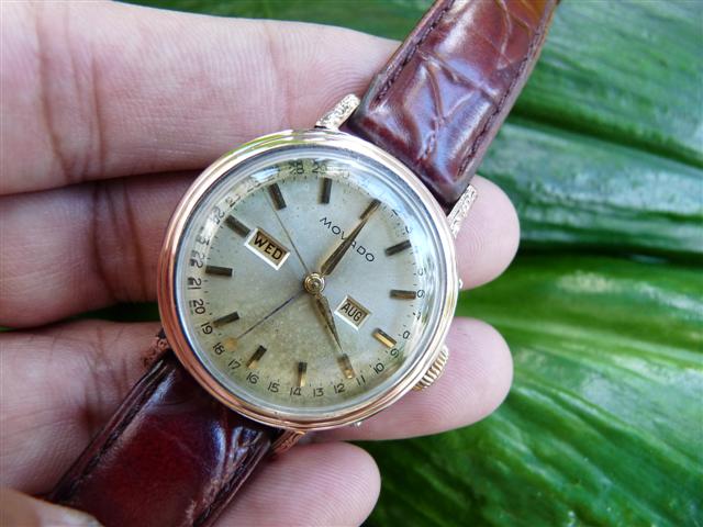 Name:  P1170678 (Small).JPG
Views: 2147
Size:  54.9 KB