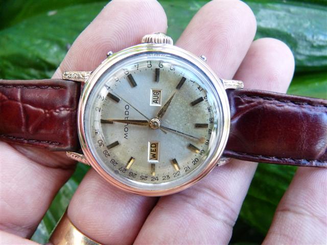 Name:  P1170680 (Small).JPG
Views: 2102
Size:  55.6 KB