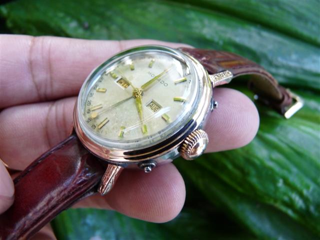 Name:  P1170686 (Small).JPG
Views: 2102
Size:  45.8 KB