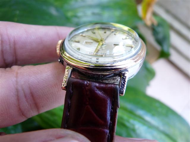 Name:  P1170692 (Small).JPG
Views: 2082
Size:  41.6 KB