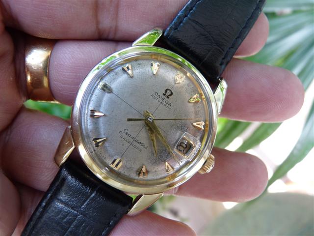 Name:  P1170550 (Small).JPG
Views: 2136
Size:  51.6 KB