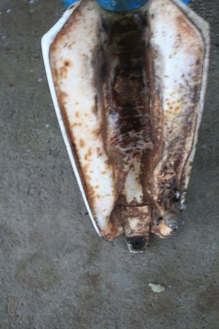 Name:  1225.jpg
Views: 326
Size:  25.0 KB