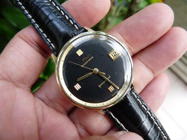 Name:  P1170076 (Small).JPG
Views: 2234
Size:  54.6 KB