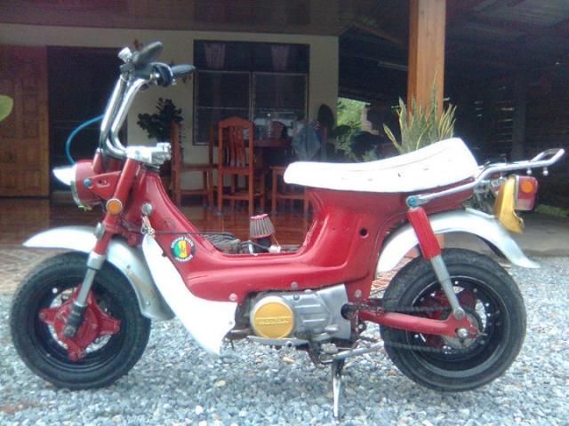 Name:  254659_155633517848856_100002066268065_323632_2744682_n.jpg
Views: 215
Size:  52.7 KB