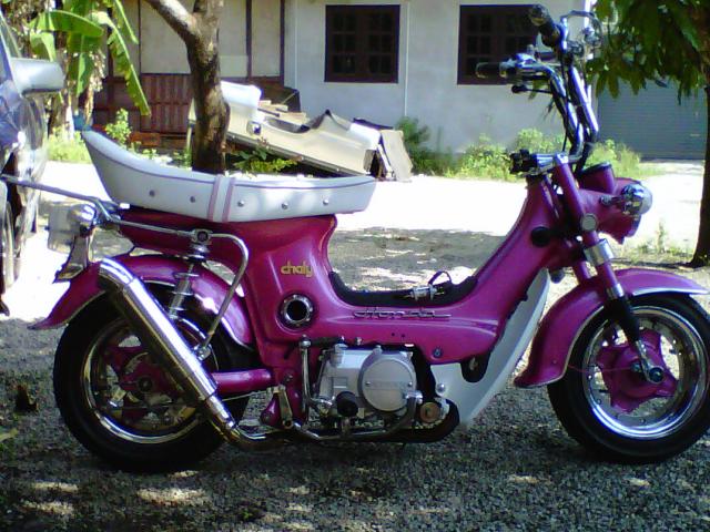 Name:  IMG00031-20110411-0930.jpg
Views: 5252
Size:  68.2 KB