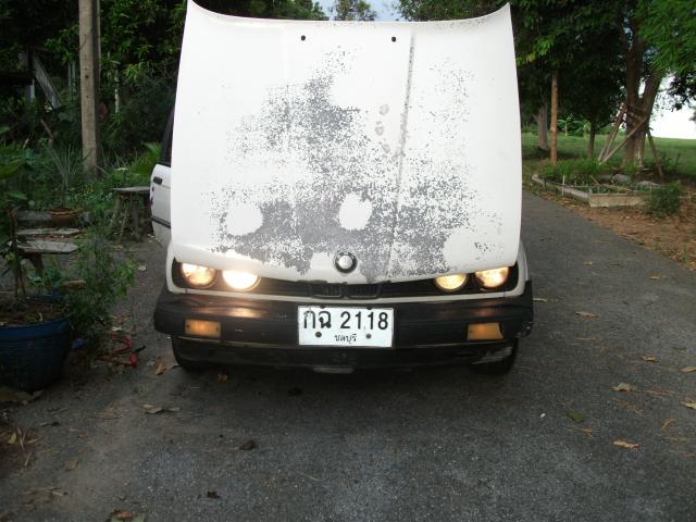 Name:  DSCF0078.jpg
Views: 1262
Size:  52.2 KB