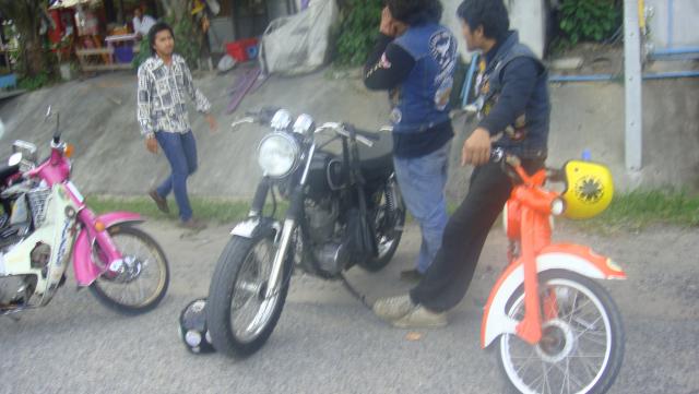 Name:  DSC01615.jpg
Views: 798
Size:  36.6 KB