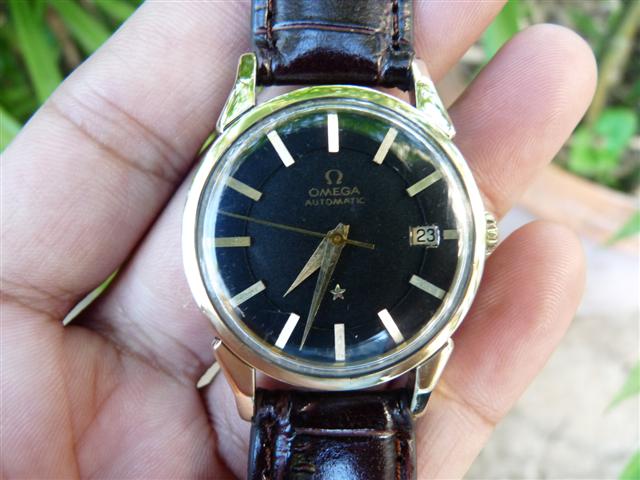 Name:  P1180040 (Small).JPG
Views: 2148
Size:  53.6 KB