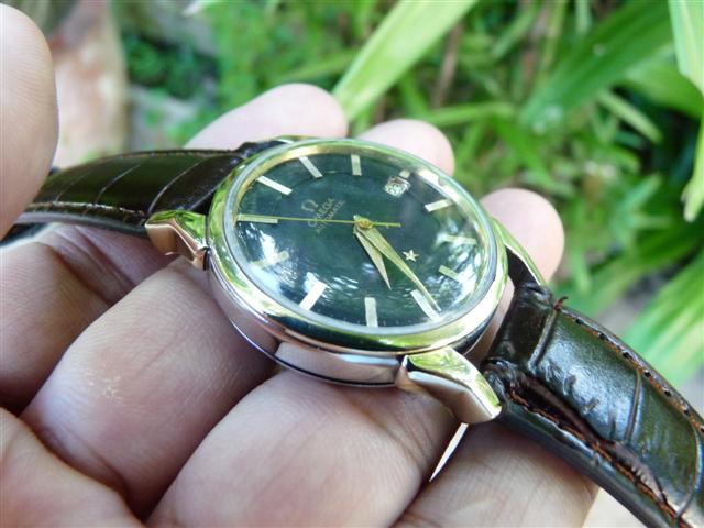 Name:  P1180049 (Small).JPG
Views: 2058
Size:  55.0 KB