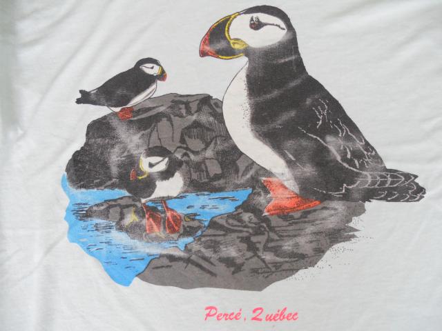 Name:  DSCN1206.jpg
Views: 170
Size:  39.1 KB