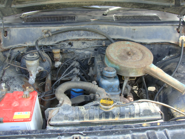 Name:  DSC08453.JPG
Views: 517
Size:  132.4 KB