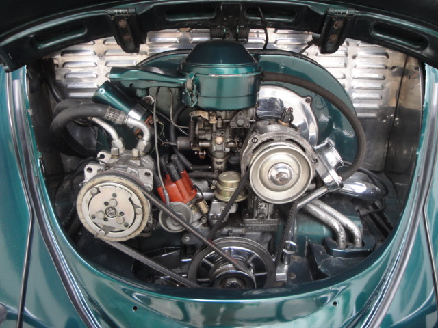 Name:  DSC02338.JPG
Views: 567
Size:  144.5 KB