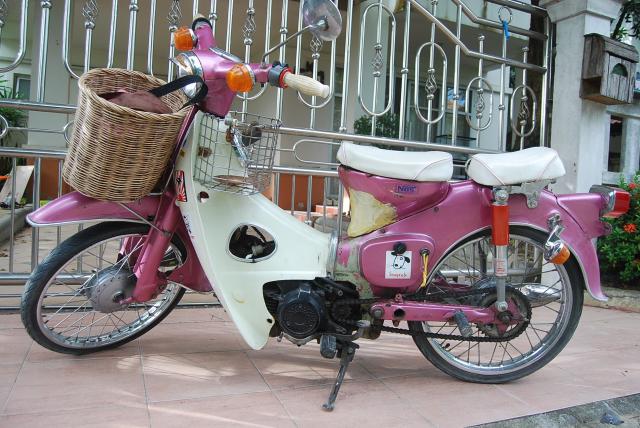 Name:  DSC_0794.jpg
Views: 745
Size:  64.1 KB