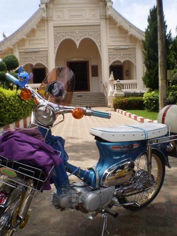 Name:  P8200435.jpg
Views: 598
Size:  37.5 KB