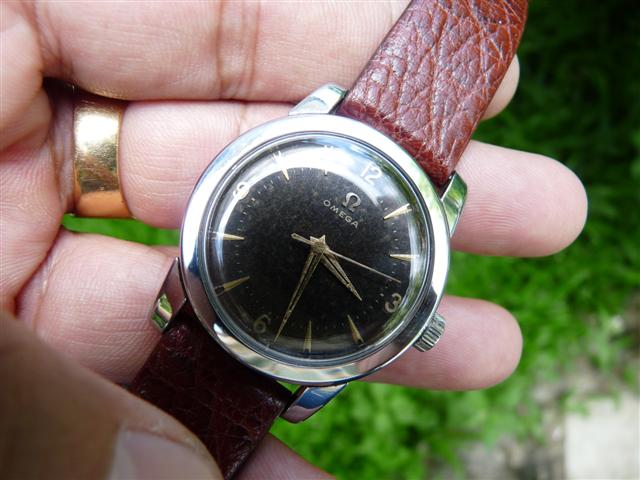 Name:  P1180424 (Small).JPG
Views: 2092
Size:  53.2 KB