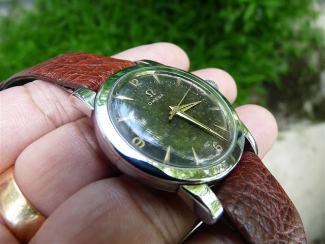 Name:  P1180428 (Small).JPG
Views: 2024
Size:  50.4 KB