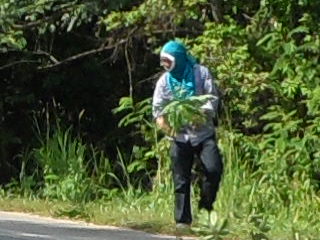 Name:  SAM_0099.JPG
Views: 196
Size:  51.9 KB