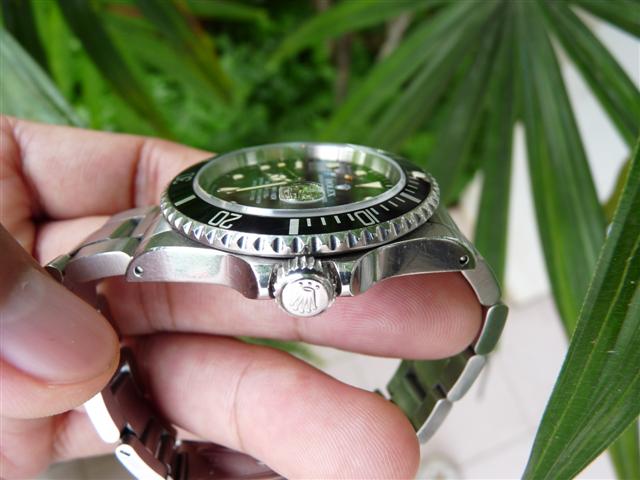 Name:  P1180555 (Small).JPG
Views: 1982
Size:  47.7 KB