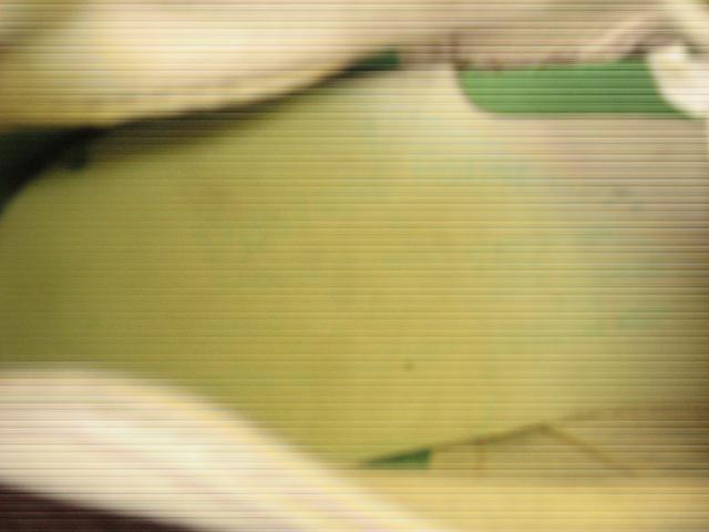Name:  IMG_1990.jpg
Views: 804
Size:  31.0 KB