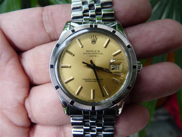 Name:  P1170863 (Small).JPG
Views: 2001
Size:  54.0 KB